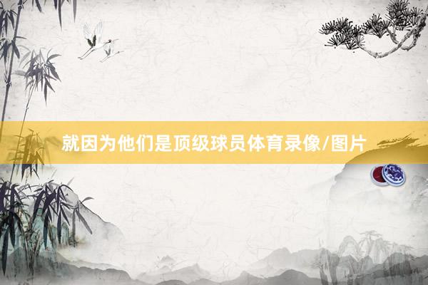 就因为他们是顶级球员体育录像/图片
